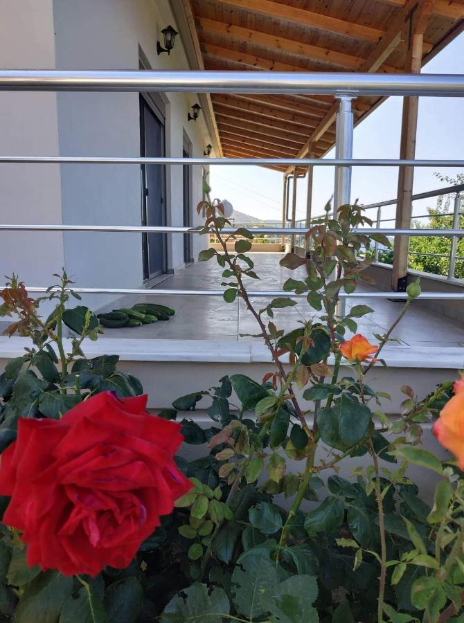 View Apartment Lukovë 외부 사진